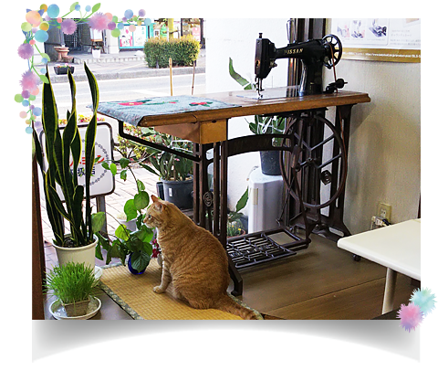 �{�錧���s �~�V���T�[�r�X�Z���^�[