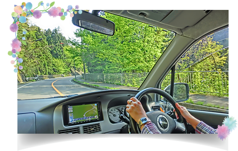 �W���m���~�V���o���C�������e�i���X